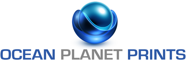 Ocean Planet Prints