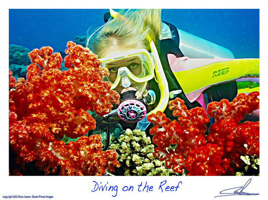 #03 Diving on the Reef