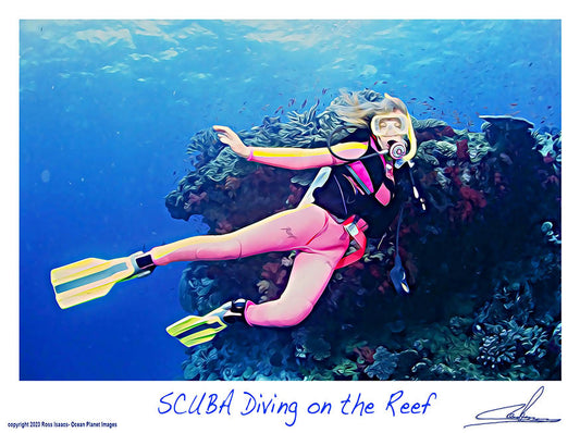 #28 SCUBA Diving on the Reef