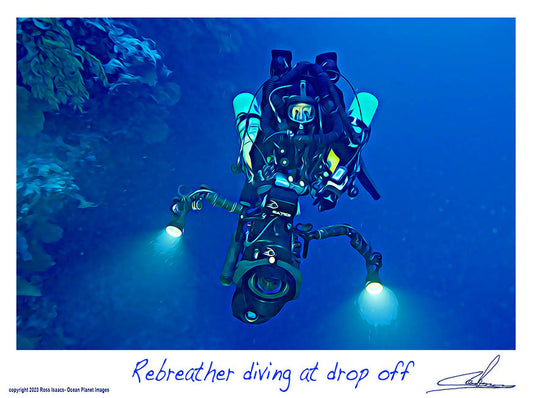 #39 Rebreather diving at drop off