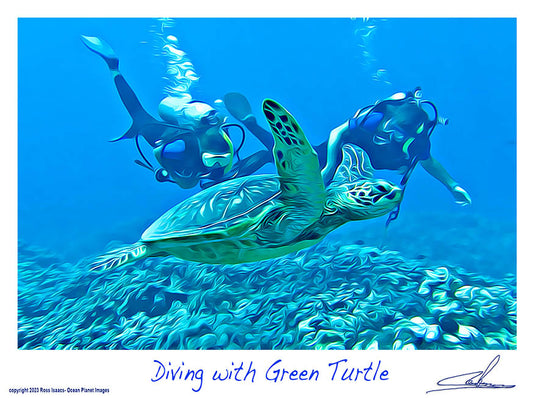 #45 Diving with Green Turtle