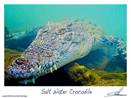 #49 Salt Water Crocodile